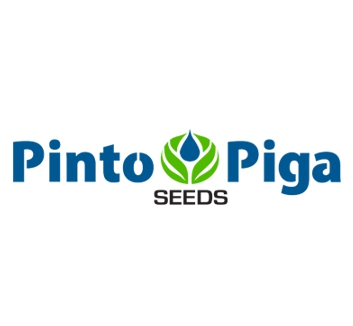 Pinto Piga azul